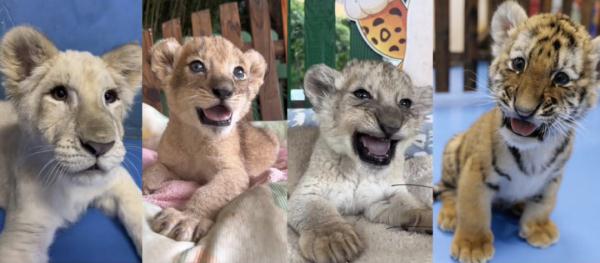 什么“神仙”工作冲上热搜?!网友想替她上班,95后姑娘回应 什么“神仙”工作冲上热搜?!网友想替她上班,95后姑娘回应