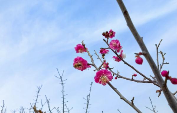 郑州最高22℃!这份春日温柔限定请收下→ 郑州最高22℃!这份春日温柔限定请收下→