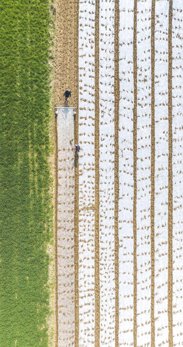 浙江多地正式入春!这个春季气温略高、雨水偏多?剧透来了~ 浙江多地正式入春!这个春季气温略高、雨水偏多?剧透来了~