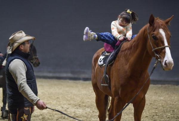 汗血马背上的萌宝骑手 汗血马背上的萌宝骑手