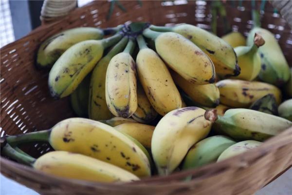 乘着火车去卖菜，“慢火车”拉来“幸福甜”