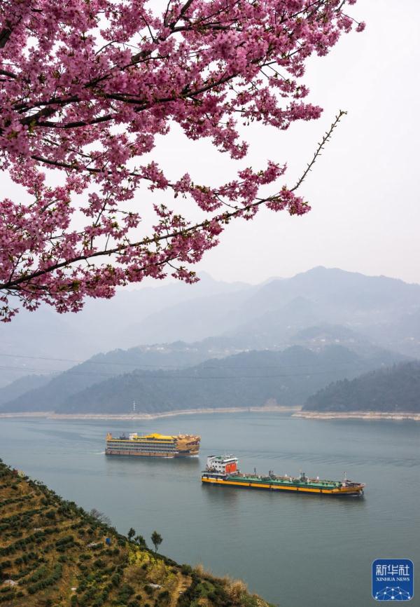 春到三峡 春到三峡