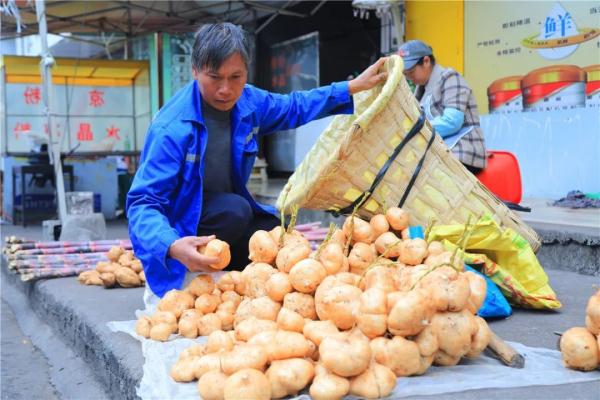 乘着火车去卖菜，“慢火车”拉来“幸福甜”