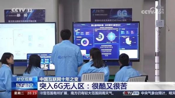 一只鸟有什么好看的？等等，这好像不是鸟！