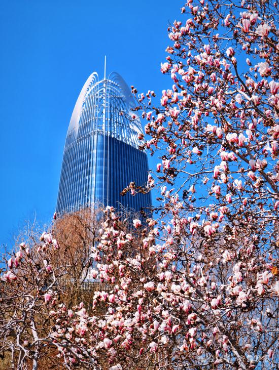 昼夜温差超15℃!山东最高温直飚22℃!网友:刚冻上又化开 昼夜温差超15℃!山东最高温直飚22℃!网友:刚冻上又化开