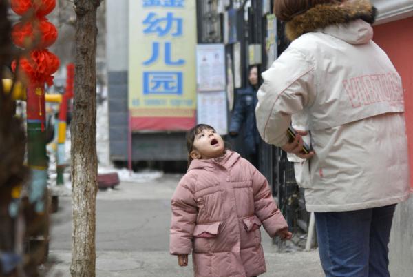 汗血马背上的萌宝骑手 汗血马背上的萌宝骑手