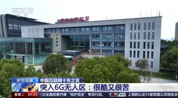 一只鸟有什么好看的？等等，这好像不是鸟！