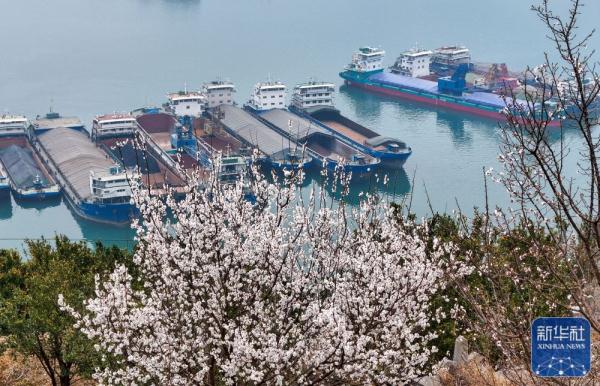 春到三峡 春到三峡