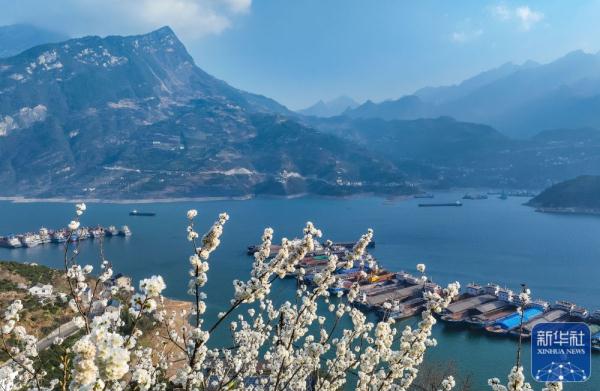 春到三峡 春到三峡