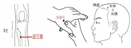 二月二龙抬头,怎样让头发“黑”回来? 二月二龙抬头,怎样让头发“黑”回来?