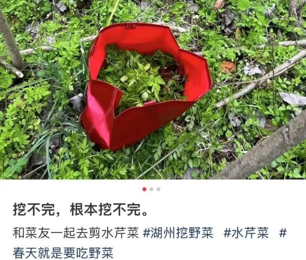 不要乱吃,或有致癌风险!已有人中毒 不要乱吃,或有致癌风险!已有人中毒