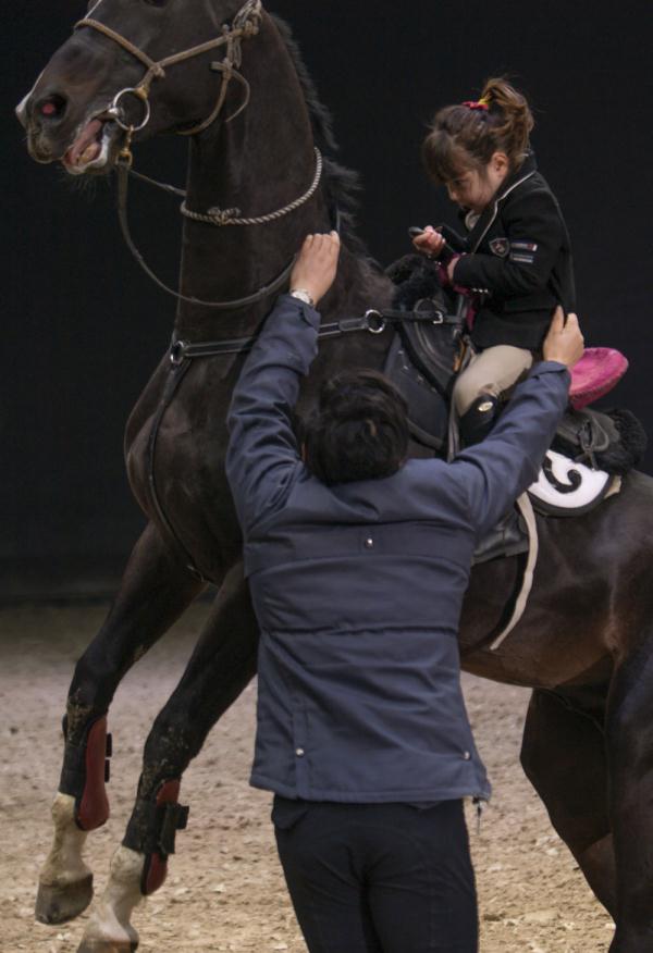 汗血马背上的萌宝骑手 汗血马背上的萌宝骑手