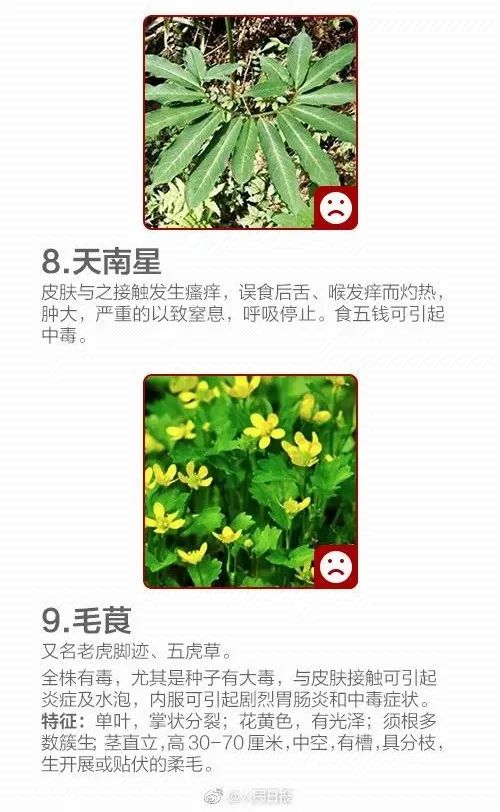 不要碰!不要吃!紧急提醒 不要碰!不要吃!紧急提醒