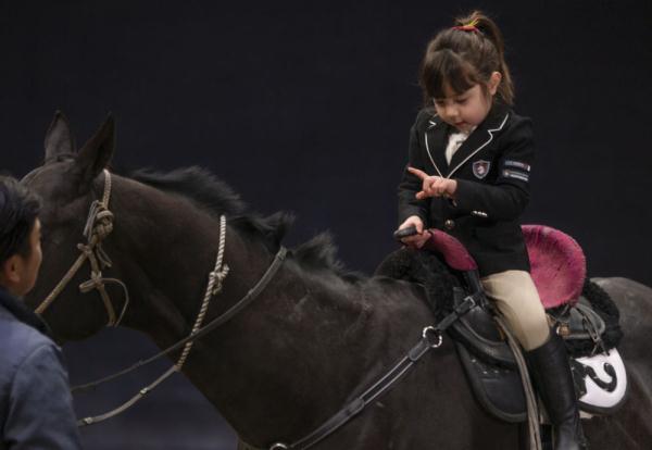 汗血马背上的萌宝骑手 汗血马背上的萌宝骑手