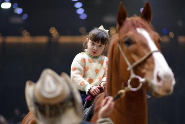 汗血马背上的萌宝骑手 汗血马背上的萌宝骑手