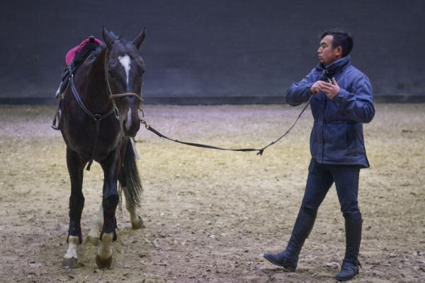 汗血马背上的萌宝骑手 汗血马背上的萌宝骑手