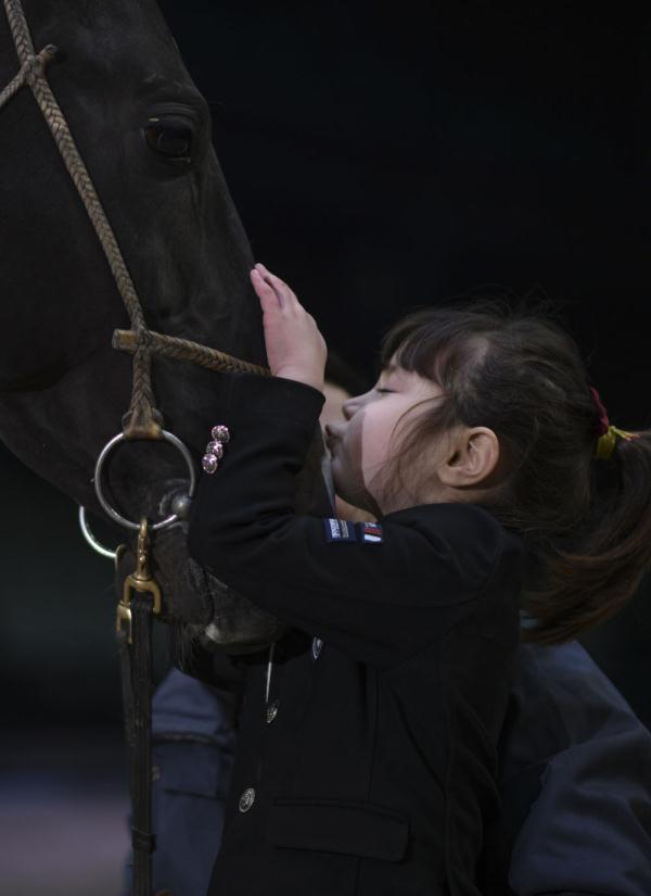 汗血马背上的萌宝骑手 汗血马背上的萌宝骑手