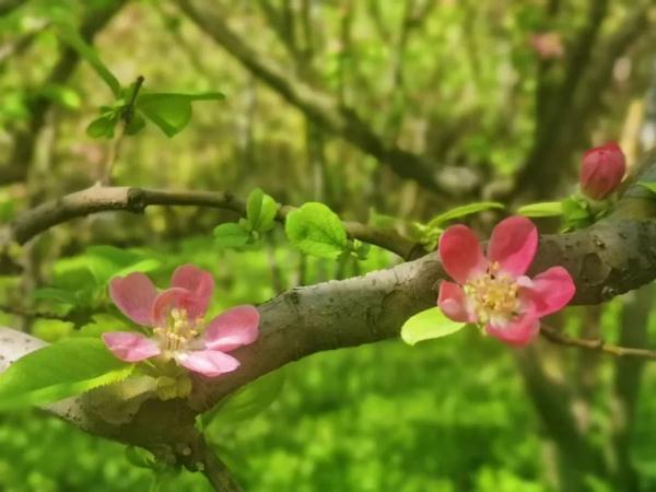 郑州最高22℃!这份春日温柔限定请收下→ 郑州最高22℃!这份春日温柔限定请收下→