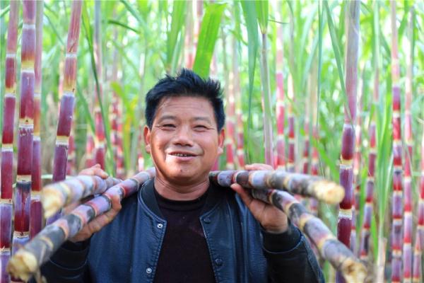 乘着火车去卖菜，“慢火车”拉来“幸福甜”