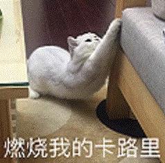 官方出手教减肥！东北减肥食谱里居然有这个！建议收藏→