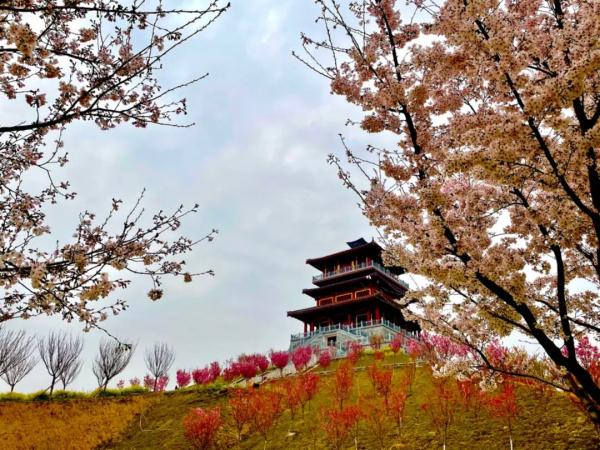 郑州最高22℃!这份春日温柔限定请收下→ 郑州最高22℃!这份春日温柔限定请收下→