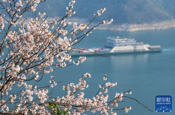 春到三峡 春到三峡