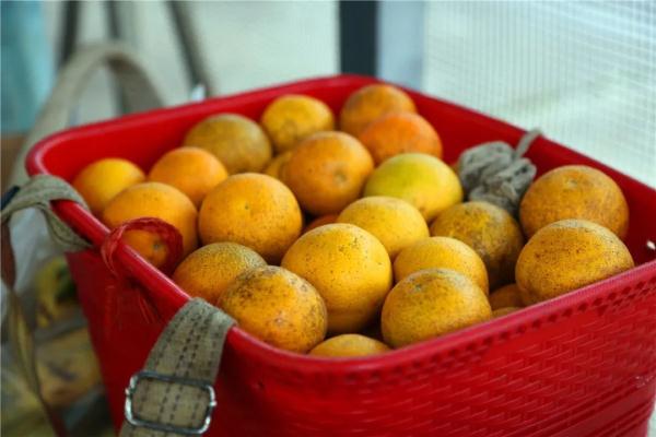 乘着火车去卖菜，“慢火车”拉来“幸福甜”