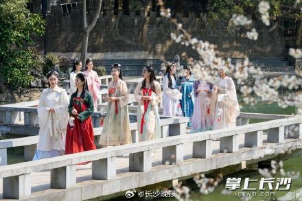 长沙望月公园开启早樱盛宴