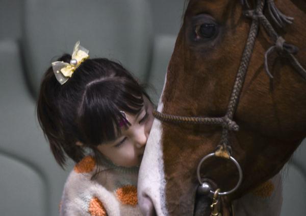 汗血马背上的萌宝骑手 汗血马背上的萌宝骑手