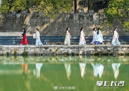 长沙望月公园开启早樱盛宴