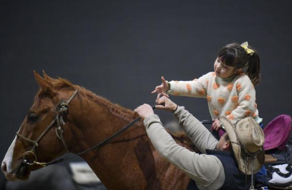 汗血马背上的萌宝骑手 汗血马背上的萌宝骑手