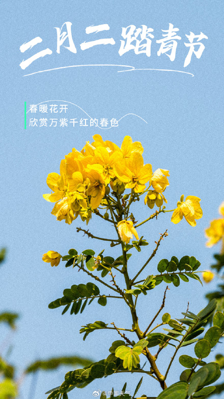 二月二 转发，踏青走起