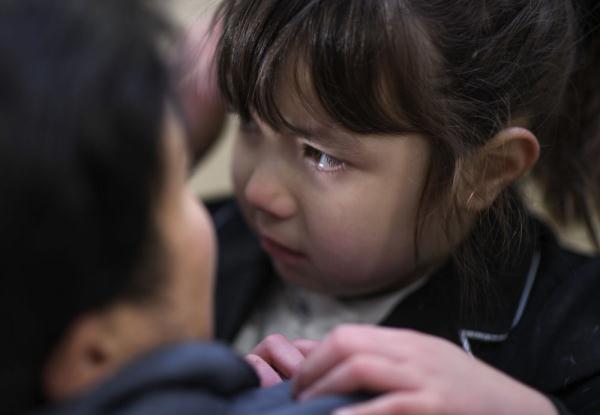 汗血马背上的萌宝骑手 汗血马背上的萌宝骑手