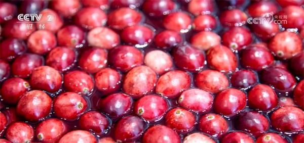 高质量文旅体验把“流量”变“留量” 消费市场里最靓景色活力旺