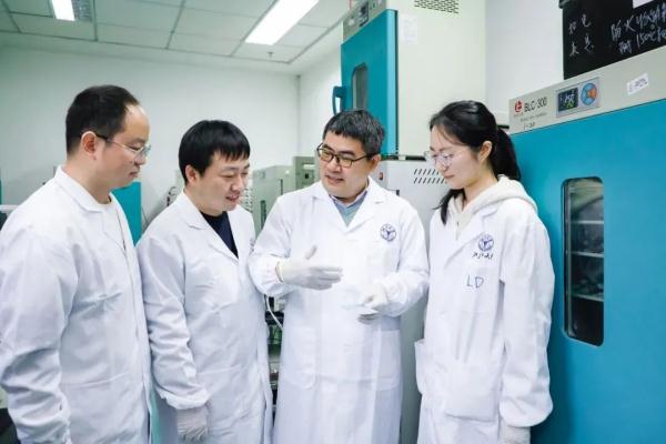 一只鸟有什么好看的？等等，这好像不是鸟！