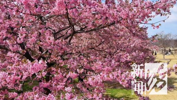 禁止携带!上海人"又爱又恨"!网友:早该"做规矩"了... 禁止携带!上海人"又爱又恨"!网友:早该"做规矩"了...