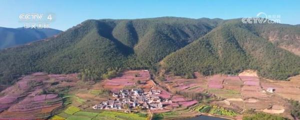 闻香赏花春已至 一起感受生机盎然的祖国大美河山