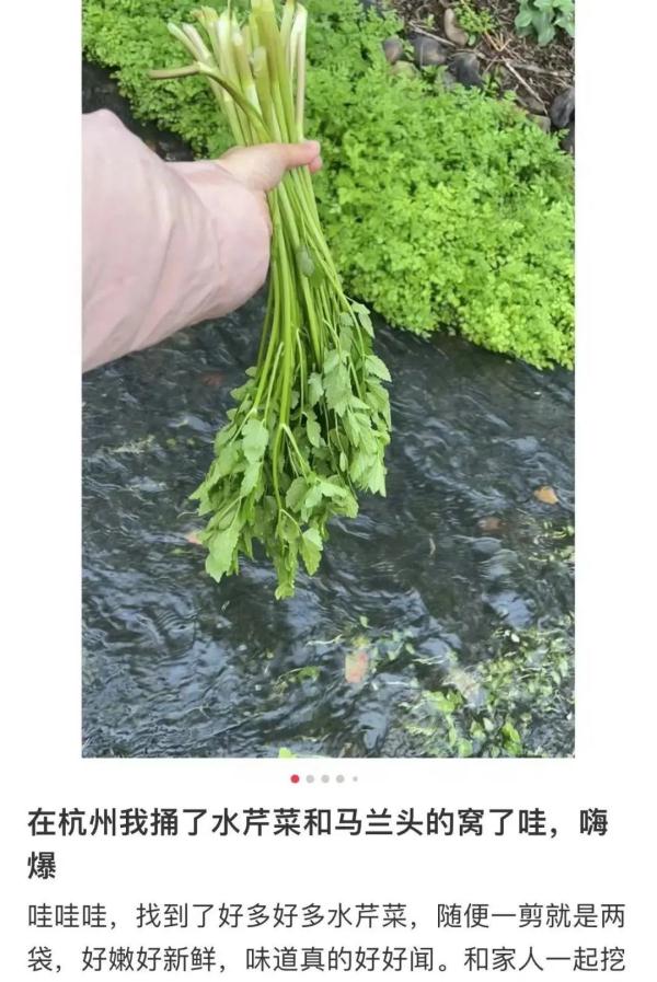 紧急提醒：别碰！别吃！