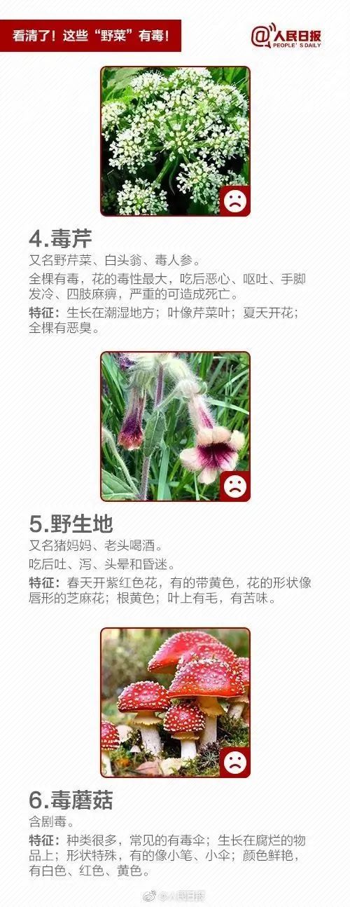 紧急提醒：别碰！别吃！