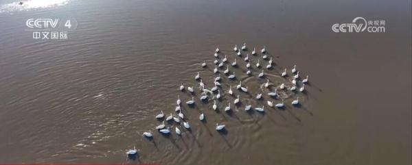 闻香赏花春已至 一起感受生机盎然的祖国大美河山