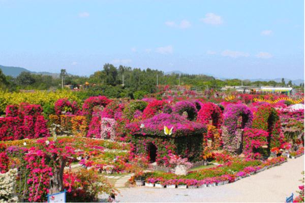 海南拟新增3处4A级景区1处3A级景区