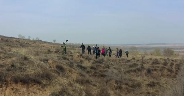 植树节前，为家乡种树的“绿化将军”走了