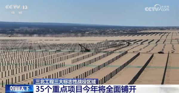 亮眼数据勾勒“植”此青绿成绩单 逐绿而行擦亮高质量发展底色