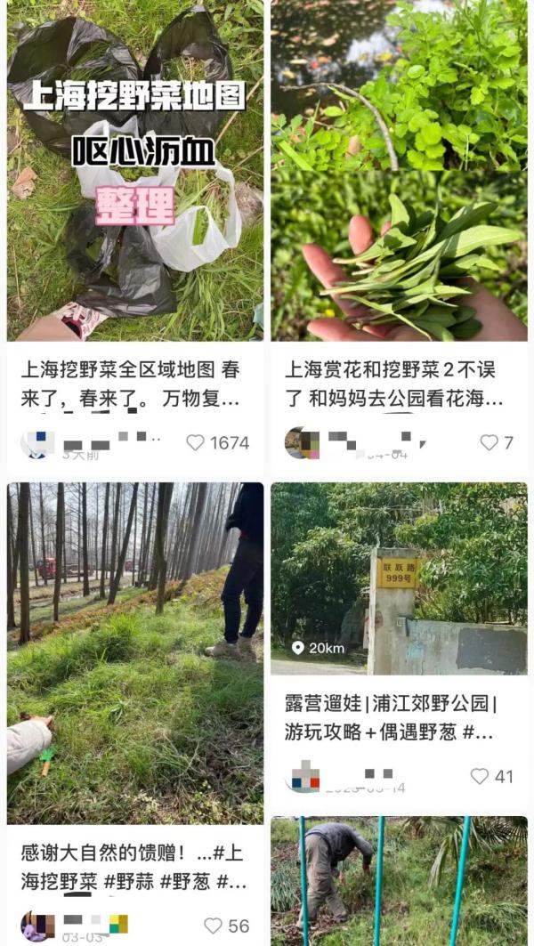 上海人的朋友圈又流行起了这事儿?紧急提醒:碰都不要碰! 上海人的朋友圈又流行起了这事儿?紧急提醒:碰都不要碰!