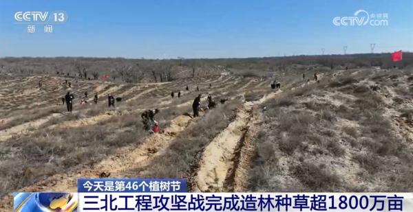 亮眼数据勾勒“植”此青绿成绩单 逐绿而行擦亮高质量发展底色