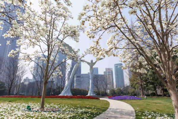 太夸张,在上海这也要抢!一上网便被"秒杀"...有的一年费用近万元 太夸张,在上海这也要抢!一上网便被"秒杀"...有的一年费用近万元