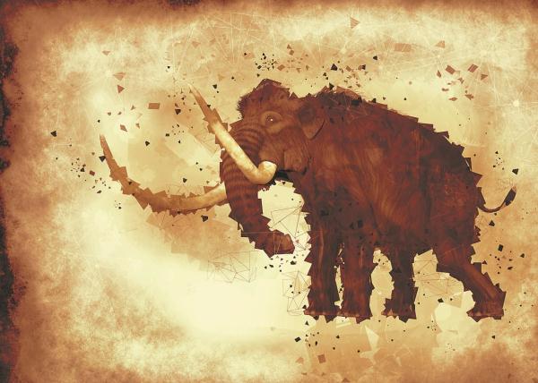 亚洲象干细胞成功制造，复活猛犸象取得关键性进展？