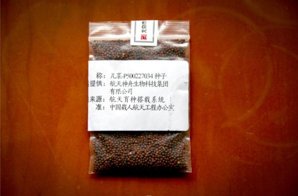 到太空“修炼”的“儿菜”种子，回重庆了！想吃不？