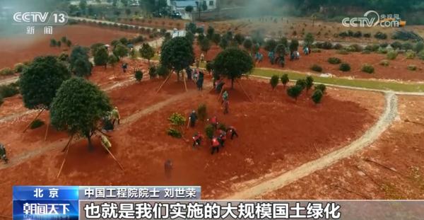 亮眼数据勾勒“植”此青绿成绩单 逐绿而行擦亮高质量发展底色