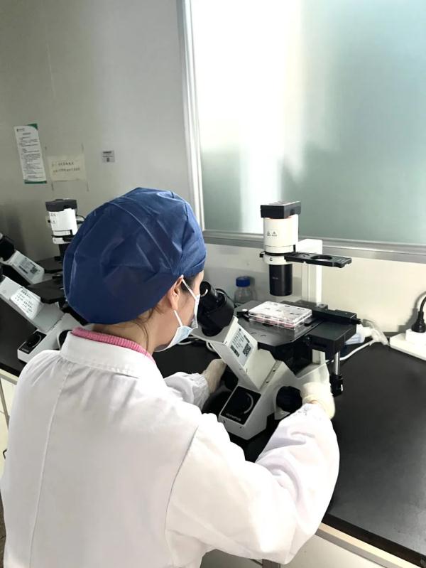 协和女博士,15年死磕这件事…… 协和女博士,15年死磕这件事……